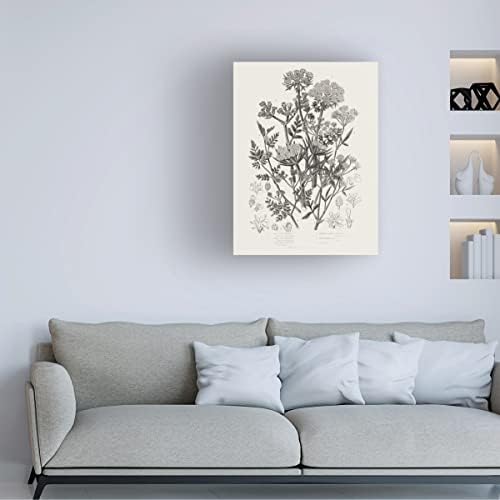 סימן מסחרי אמנות 'צמחים פורחים IV ניטרלי' אמנות בד מאת תיק תפוחים פראי 24x32